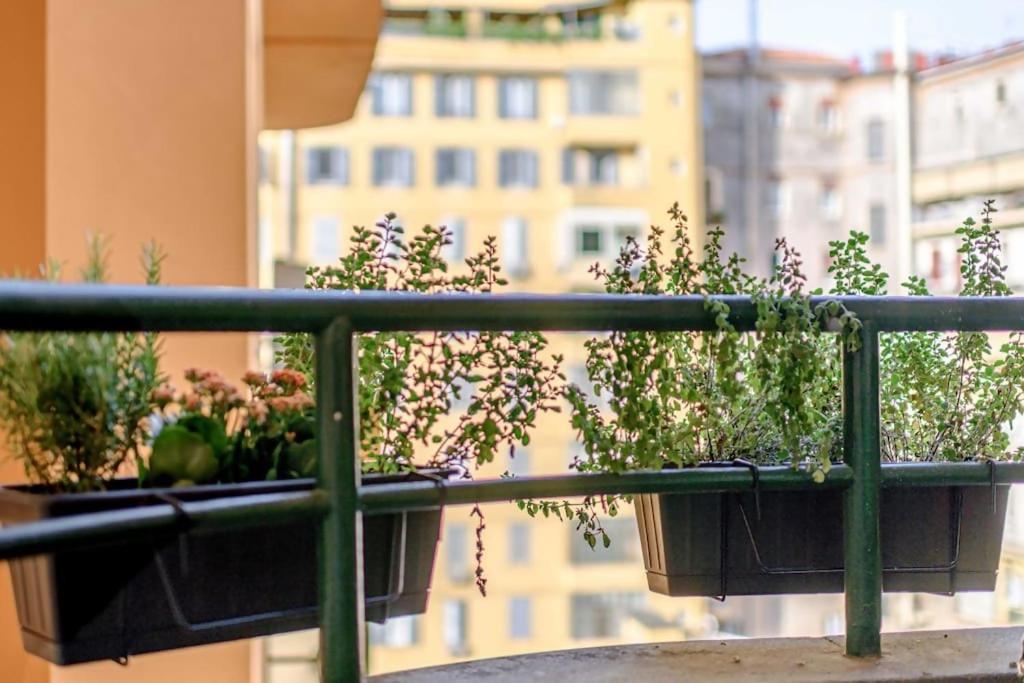 Riboty 10 Suites Ρώμη Εξωτερικό φωτογραφία